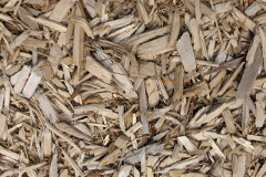 biomass boilers Ivychurch